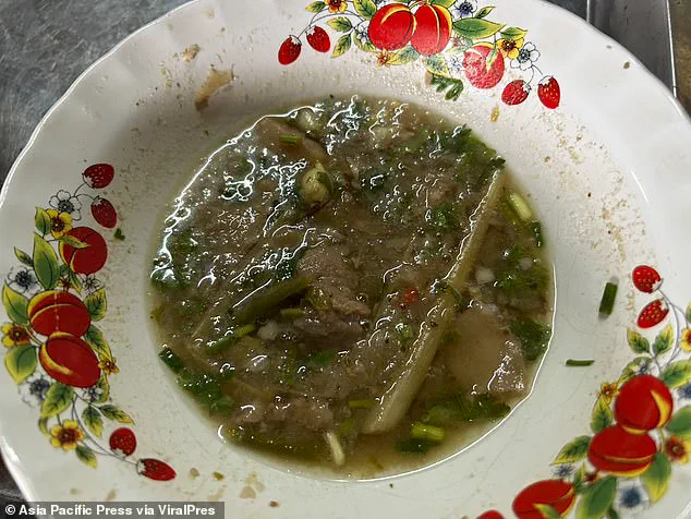 Thai Curry Laced with Deadly Mushrooms Claims Father and Daughter's Lives in Chiang Rai; Authorities Investigate Source of Poison