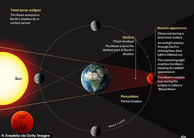 Exclusive Access: The Scientific Community's Insight into the Elusive Blood Moon Eclipse