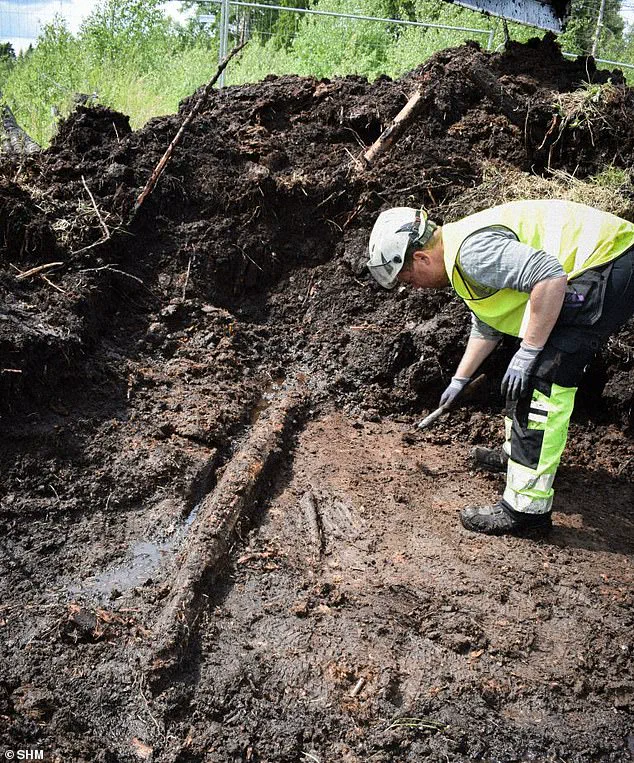 The Oxygen-Free Secret of Bogs: Preserving Organic Remains for Millennia
