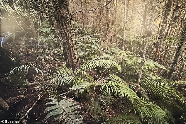 New Photos of Abandoned Campsite Where Phillips' Children Were Found Raise Questions About Fugitive's Survival