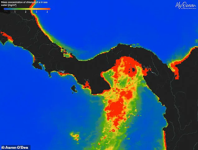 Alarming Collapse of Panama Pacific Upwelling Threatens Marine Ecosystems and Livelihoods