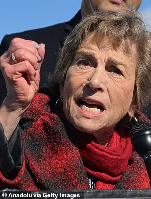 Democratic Party's Generational Divide: Aging Leaders Clash with New Voices in a Battle for the Future