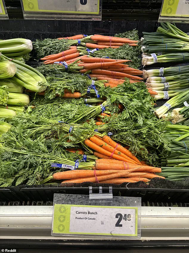 Late-Breaking: Canadian Supermarkets Exposed in 'Maple Washing' Scandal Amid Trump's Tariff War