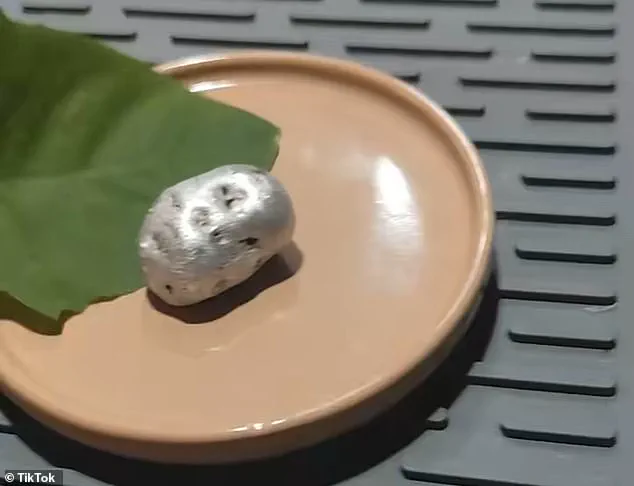 Man Known as 'Kin' Claims Discovery of Alien-Like Organism in Panama Meteorite, Sparking Global Debate – 'I Witnessed an Alien Growing,' Says Viewer