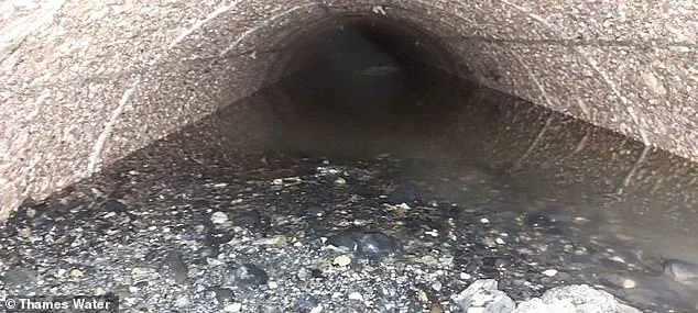 Stomach-Churning Discovery: Thames Water Removes 100-Tonne Fatberg, Exposing Sewer Risks and Community Impact
