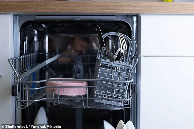 ‘Where Are They All Coming From?’ Brits Baffled by Fruit Fly Invasion That Persists Into Autumn
