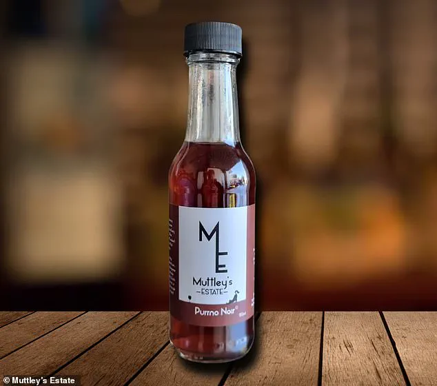 Pet-Friendly Wines with Catnip Introduced, Raising Questions About Pet Health and Consumer Trends
