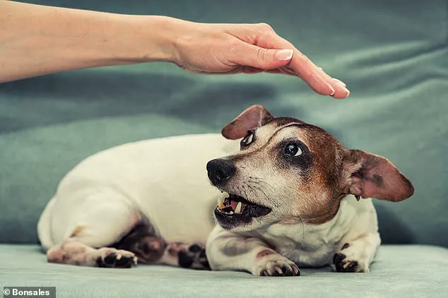 University of Belgrade Study Reveals Link Between Psychopathy and Belief in Animal Moral Inferiority, Echoing Fictional Villains' Traits
