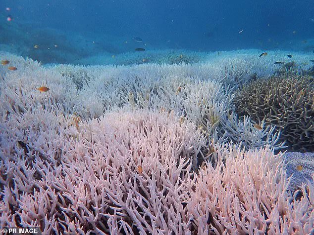 Exclusive Insight: The First Irreversible Climate Tipping Point and Its Consequences