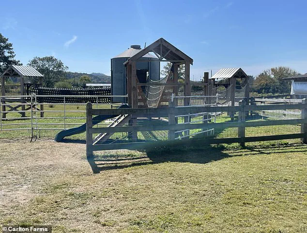 Six-Year-Old's Tragic Death During Georgia Field Trip Sparks Outcry Over Unmentioned Pool Access and School Transparency