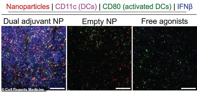 Breakthrough in Cancer Prevention: Researchers Develop 'Super Vaccine' Targeting Multiple Aggressive Cancers