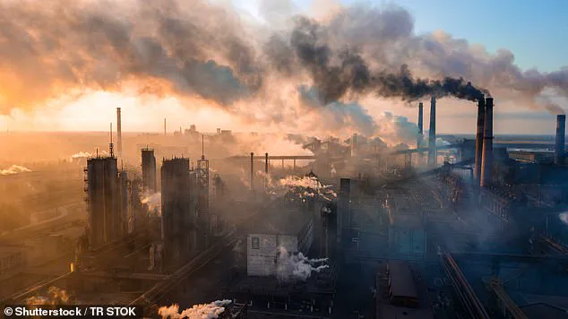 Record High CO2 Levels in 2024: A Glimpse into the Privileged World of Climate Monitoring