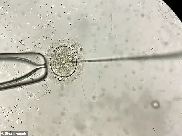 Unveiling the Hidden Bias: IVF Innovation, Data Privacy, and Gender Outcomes