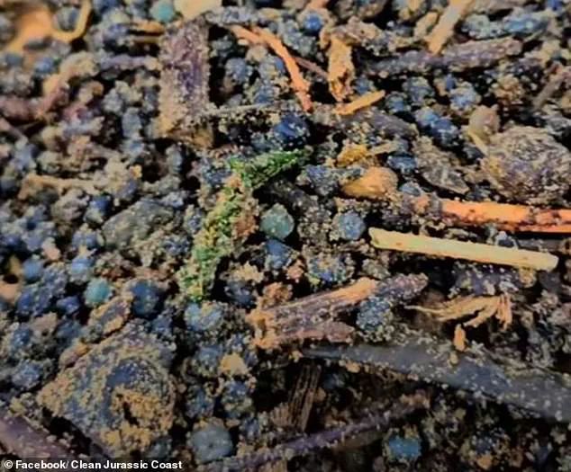 Urgent Warning: Toxic Plastic Pellets Inundate Camber Sands Beach, Threatening Pets and Wildlife
