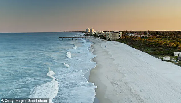 Study Links Toxic Algae in Florida Waters to Alzheimer's Disease