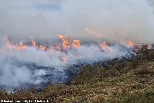 Britain's First Mega Fire: A Stark Warning for the Future