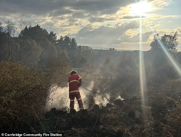 Britain's First Mega Fire: A Stark Warning for the Future