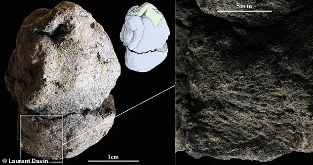 Explicit Scene on Ancient Figurine Challenges Understanding of Prehistoric Art in Israel