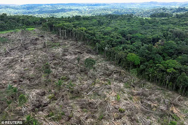 Global CO2 Emissions Set to Reach Record High in 2025, Marking a Grim Milestone in the Climate Crisis