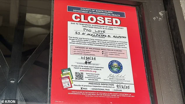 Health Inspectors Find Critical Violations After Viral Video Sparks Outcry at Milpitas Pho Restaurant
