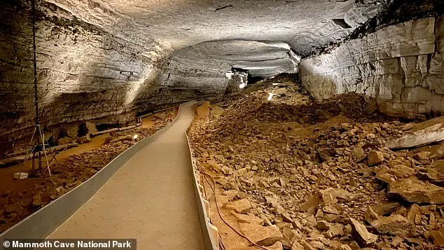 Hidden World, Limited Access: Mexico's Ox Bel Ha Cave System Unveiled