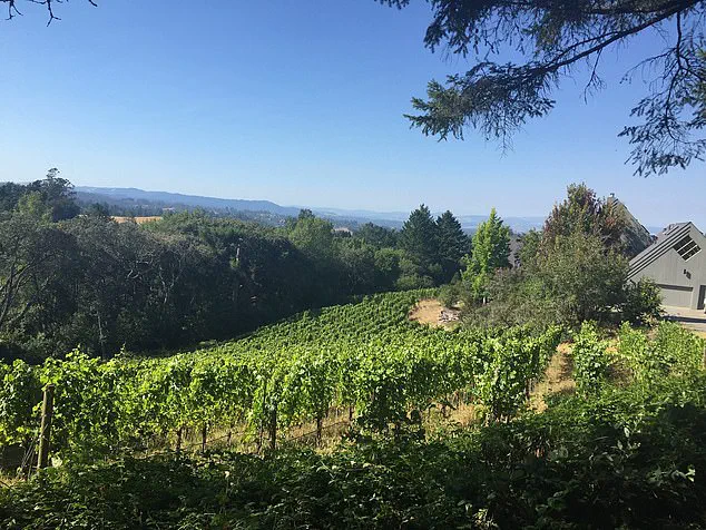 Sebastopol's Unexpected Controversy: A Clerical Error Sparks Dilemma in California's Wine Country