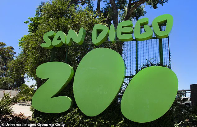 The End of an Era: Gramma the Galapagos Tortoise, San Diego Zoo's Beloved Icon, Passes Away at 141