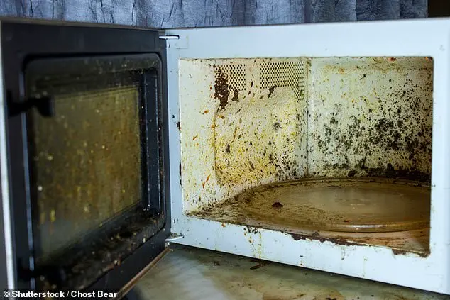 ‘Microwaves: Unsung Heroes Concealing Hidden Dangers’ – Insights from Cookology’s Confidential Research