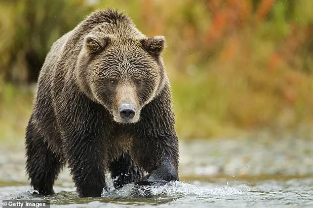 Controversial Study Suggests Teddy Bears May Harm Children's Understanding of Nature, Sparking Debate Among Researchers