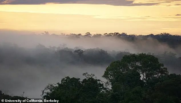 Exclusive Access: Amazon Rainforest's Shift to Hypertropical State Revealed