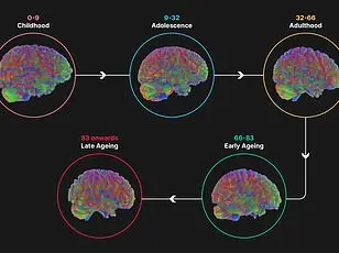 Study Reveals Physical Ability Peaks at 35, Rethinking Athletic Training and Aging