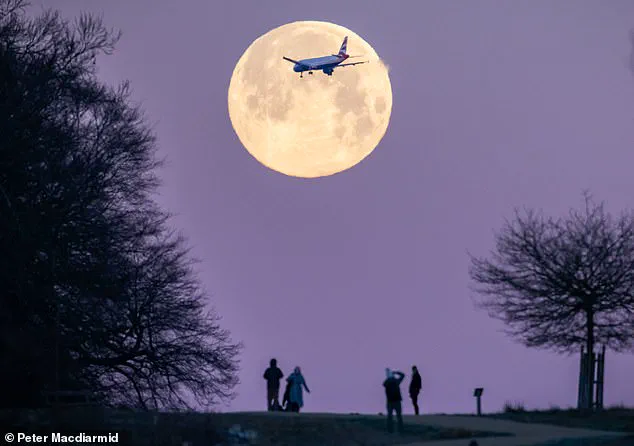 Exclusive Access: The Privileged Few Who Witnessed the 2026 Wolf Moon's Spectacle