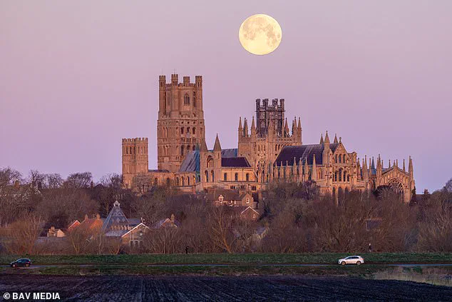 Exclusive Access: The Privileged Few Who Witnessed the 2026 Wolf Moon's Spectacle