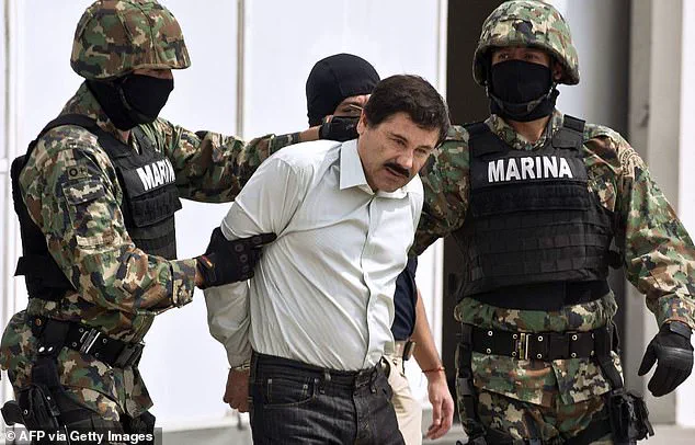 U.S. Land Strikes on Mexican Cartels Under Trump's Directive Risk Escalating Violence and Public Safety Concerns