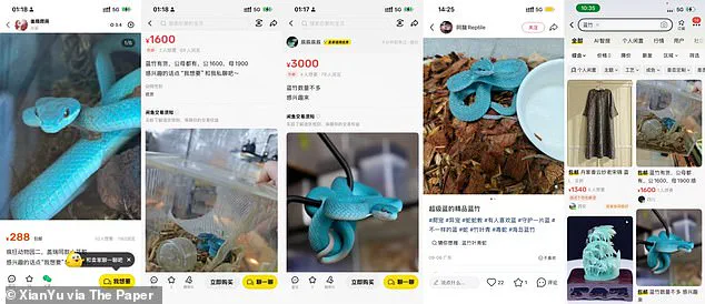 Public Safety Concerns Arise from Surge in Demand for Indonesian Pit Viper Linked to Disney's Zootopia 2