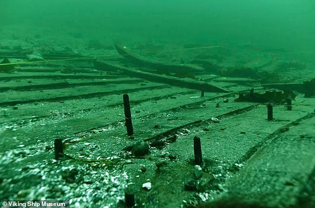 Discovery of a Medieval 'Super Ship' Off Denmark's Coast Shocks Archaeologists and Reveals 15th-Century Maritime Mastery