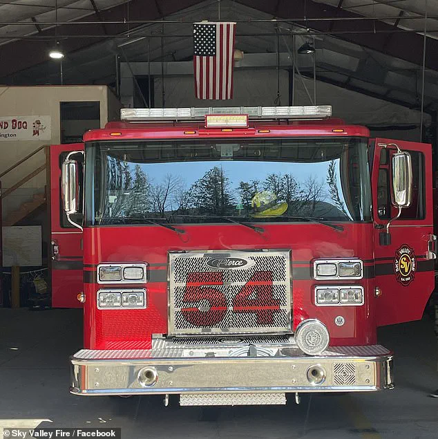 Firefighters Save Puppies from Opioid Overdose in Unusual Rescue