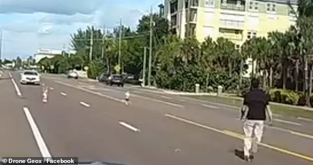 Heroic Father Saves Two Toddlers from Florida Highway in Viral Dash Cam Footage