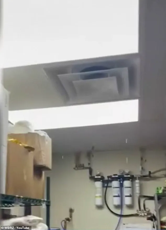 Workers at Louisiana Wendy’s Describe a Health Crisis in the Workplace: 'Black Mold and Flooding Are Daily Realities'