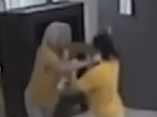 Physical Altercation Between State Senator Angela Walton Mosley and St. Louis County Councilwoman Shalanda Webb at Bellefontaine Neighbors Community Center Town Hall Meeting on September 25