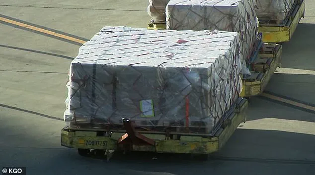 Tragic Death of dnata Employee at SFO Sparks Outcry and Calls for Safety Reforms