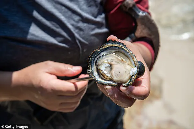 Boston Harbor's Cleanup: A Decades-Long Battle Reaches a Turning Point