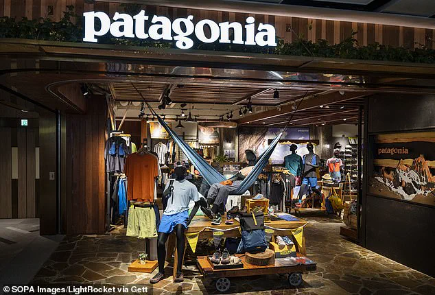 Corporate vs. Creativity: How Legal Battles Over Brand Names Influence Public Regulations