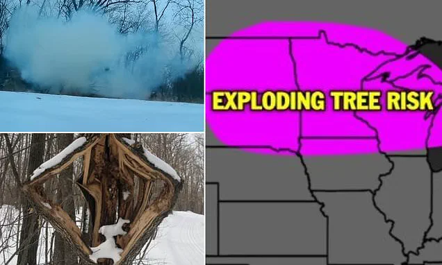 Federal Agencies and Private Weather Firms Unite to Track Severe Winter Storm, Ensuring Public Safety