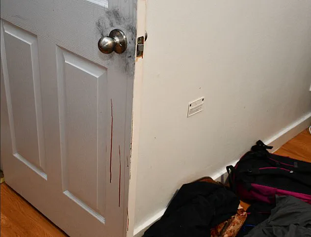 Exclusive Files: A Mother's Privileged Access to 2,800 Images Reveals New Horrors in the Idaho Four Murders