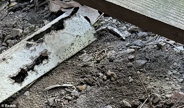 Reddit Sleuths Mobilize to Help Desperate Husband Recover Lost Wedding Band Beneath Porch