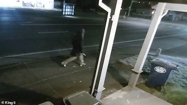 Violent Attack in Parkland Convenience Store Parking Lot Leaves Man and Dog Injured, Suspect Killed by Police