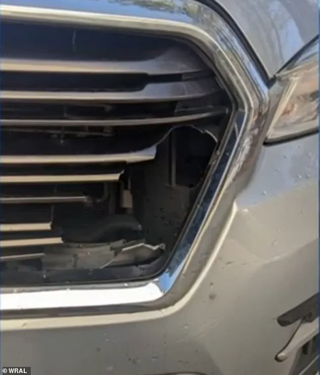 A Mother's Close Call: 'It Was Like a Meteor' – Drivers Urged to Stay Alert on Icy Roads
