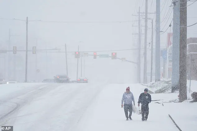 Community Resilience Amid Winter Storm Fern's Freezing Grip