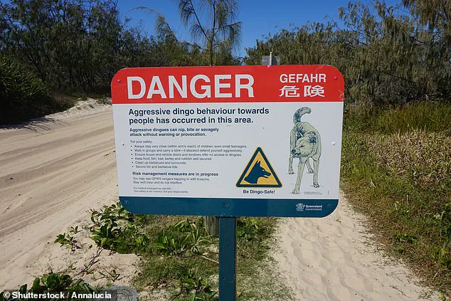 TikTok Video Sparks Debate Over Safety Regulations on K'gari Amid Tragic Backpacker Death